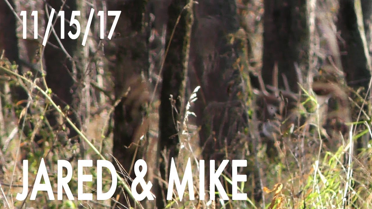 Jared's Blog: High Pressure