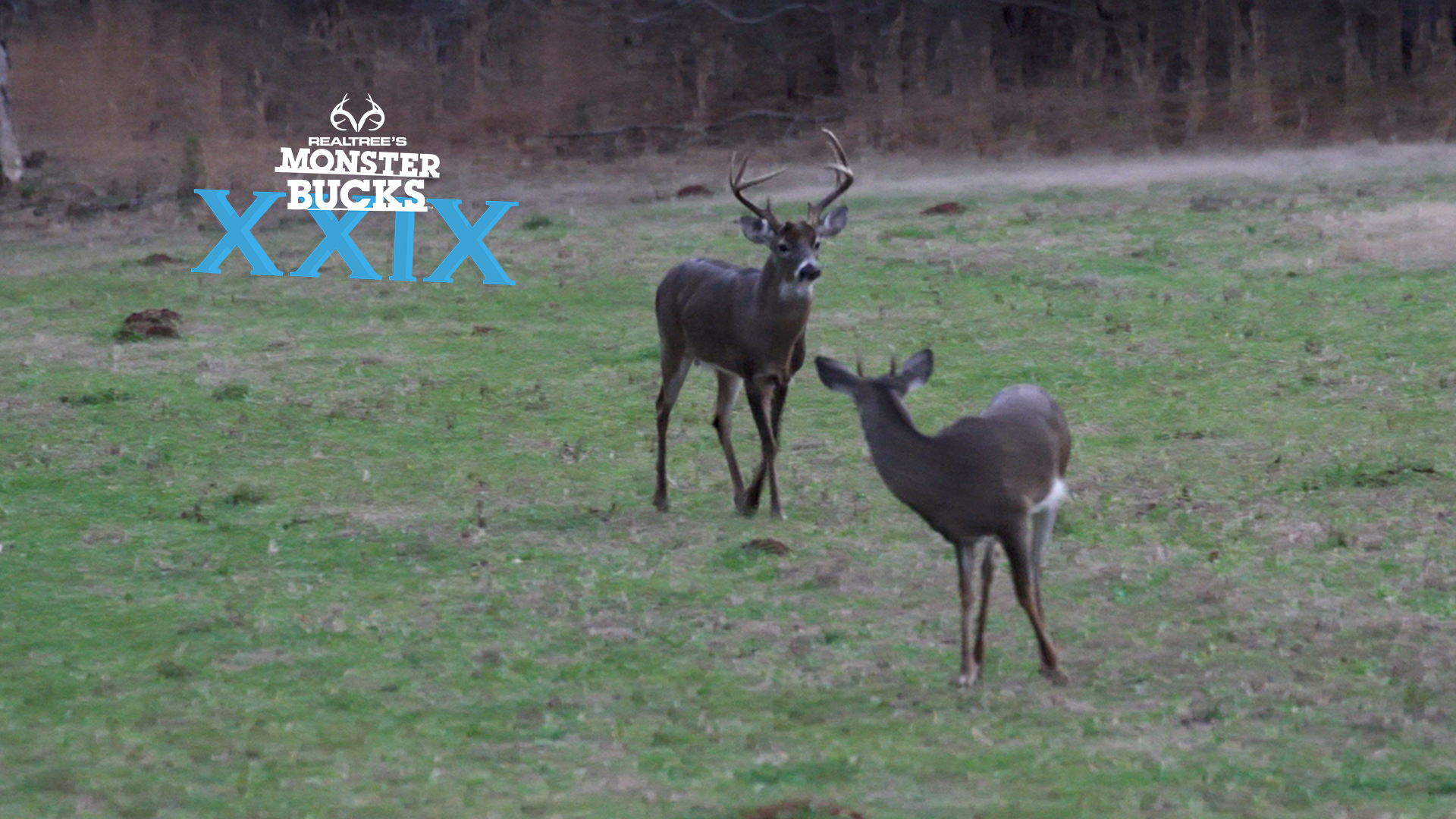 Graycen Jordan's Last-Day Georgia Buck | Monster Bucks 2021
