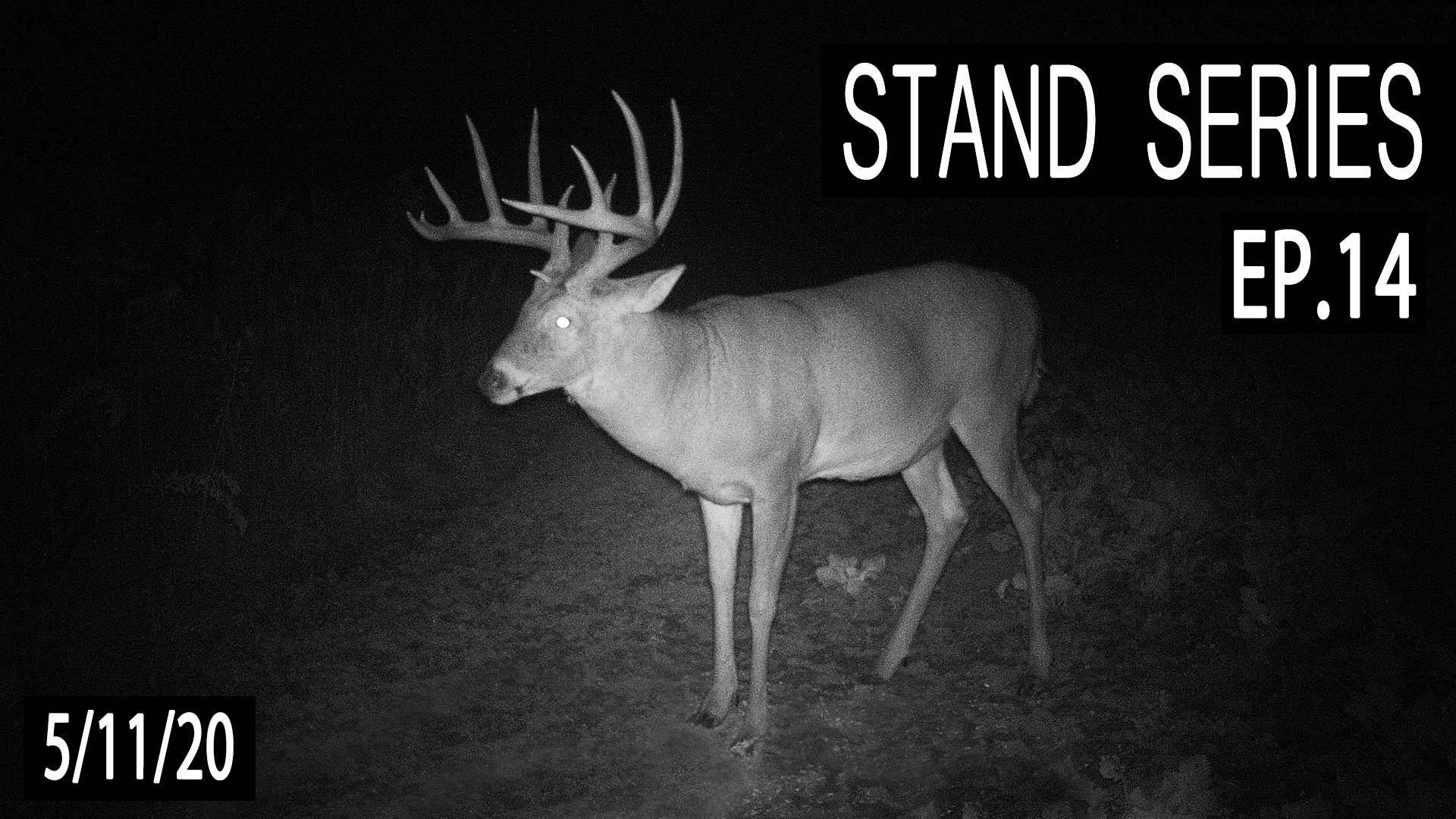 The Sidehill Stand | Bill Winke Treestand Location Series