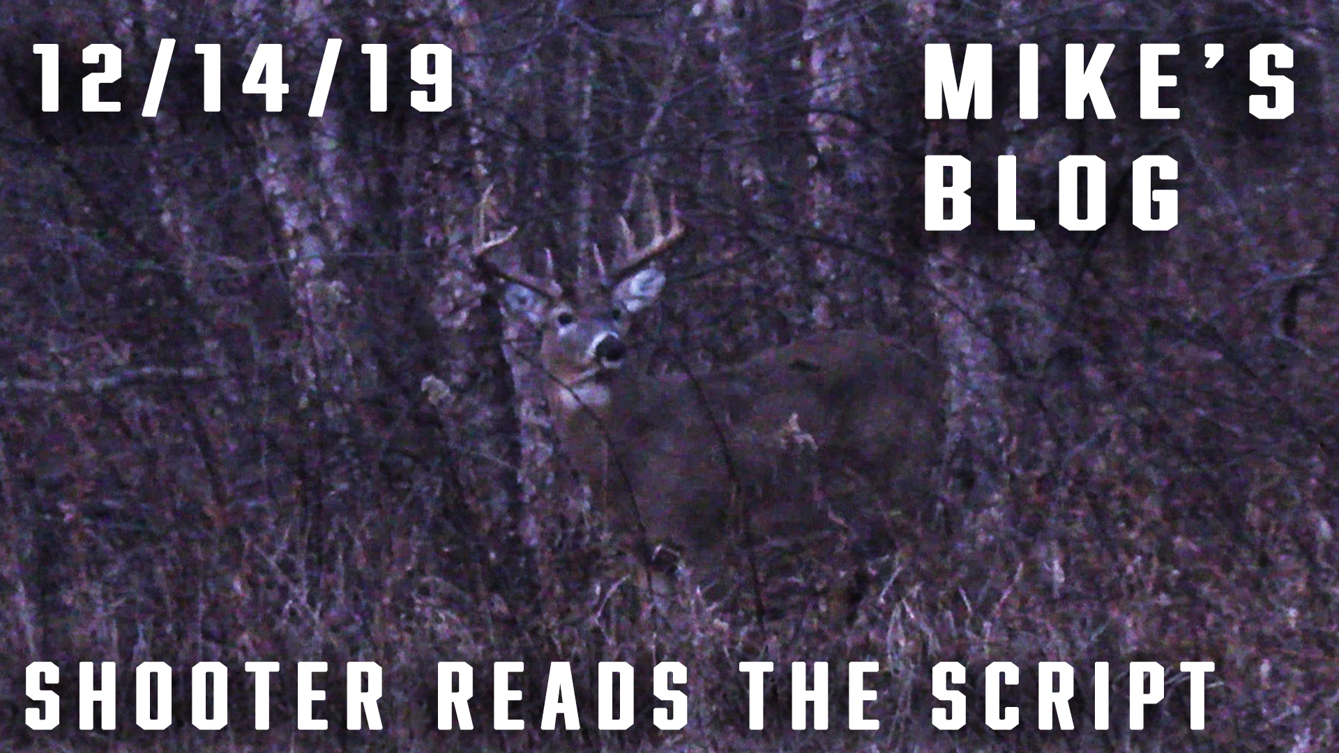 Mike's Blog: Youth Hunt, Shooter Reads the Script