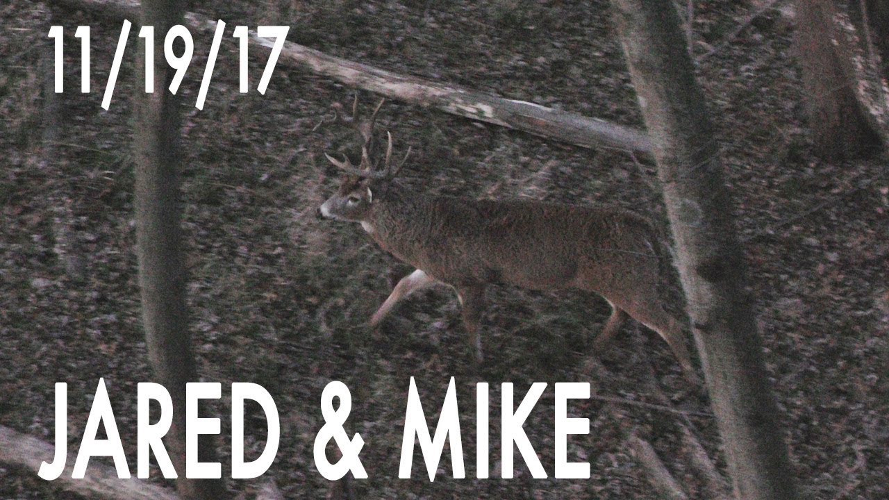 Jared's Blog: Marino