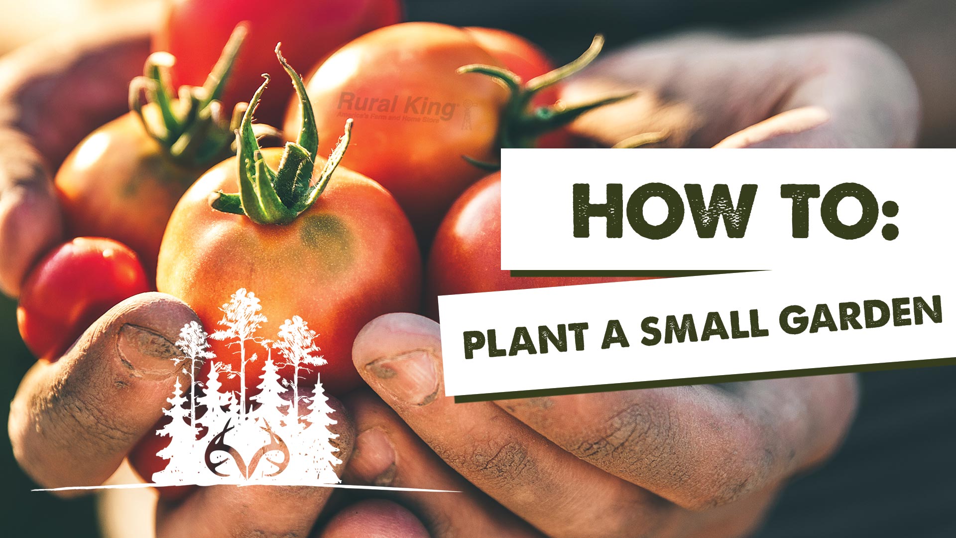 How to Plant and Grow a Small Garden | Self-Sufficiency Tips | Pay Dirt