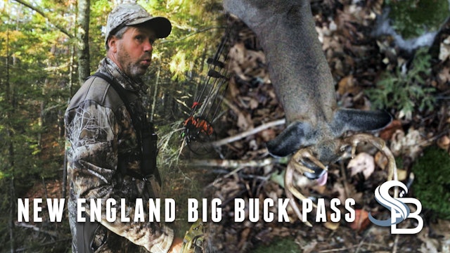 Great Encounters with New England Bucks | Hunting Northeastern Deer | Sea Bucks