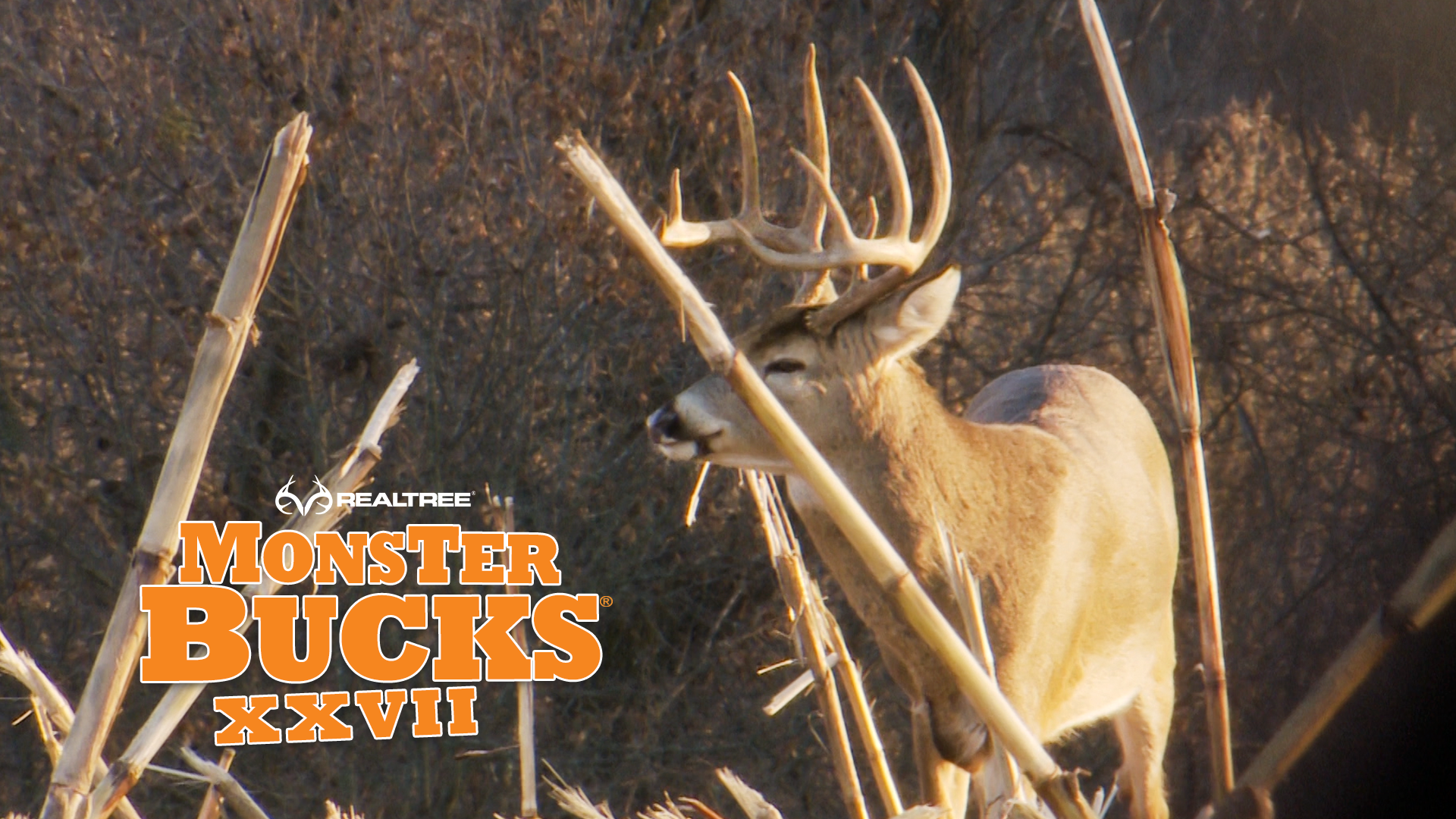 Kandi Kiski's Thanksgiving Afternoon Monster Buck