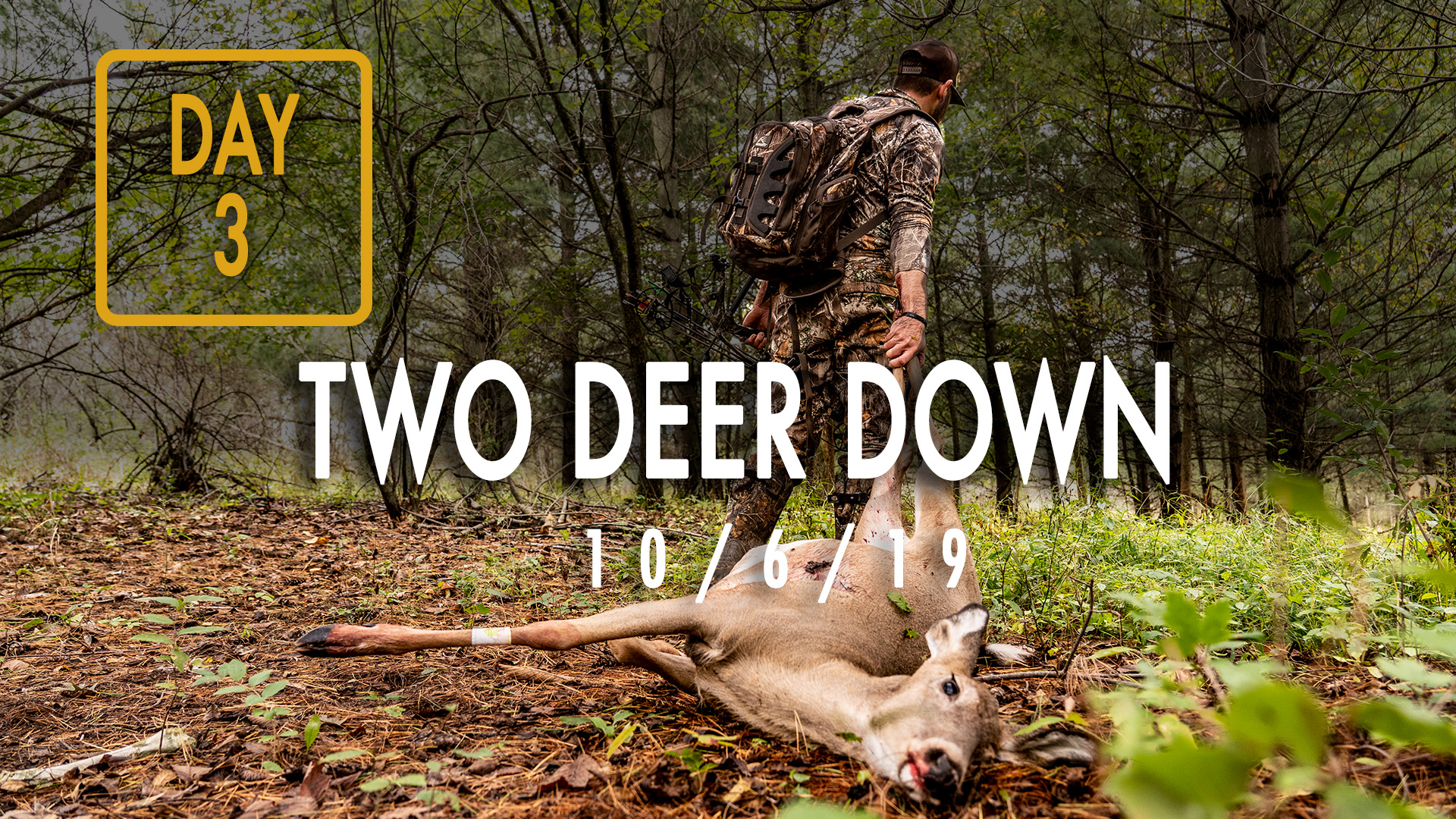 Jared Day 3: Needing Venison, Long Track Job