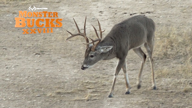 Tyler Jordan's Tall-Tined Texas Whitetail | Realtree's Monster Bucks