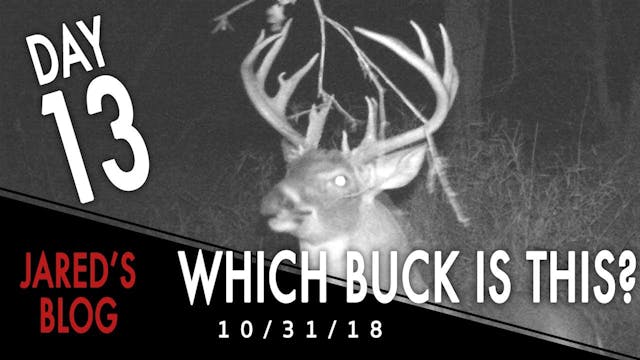 Jared's Blog: Which Buck is It?