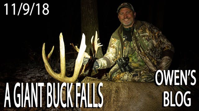 Owen's Blog: Giant Buck Down!