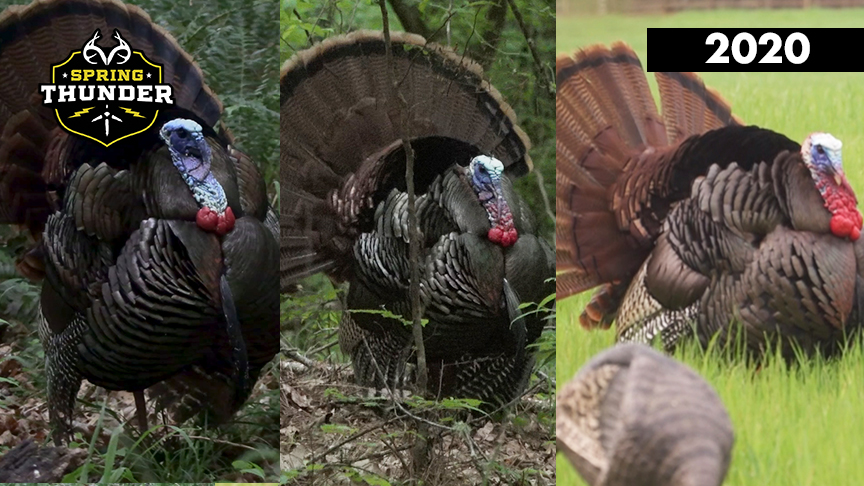 Spring Thunder Season Highlights | Turkey Season in Review 