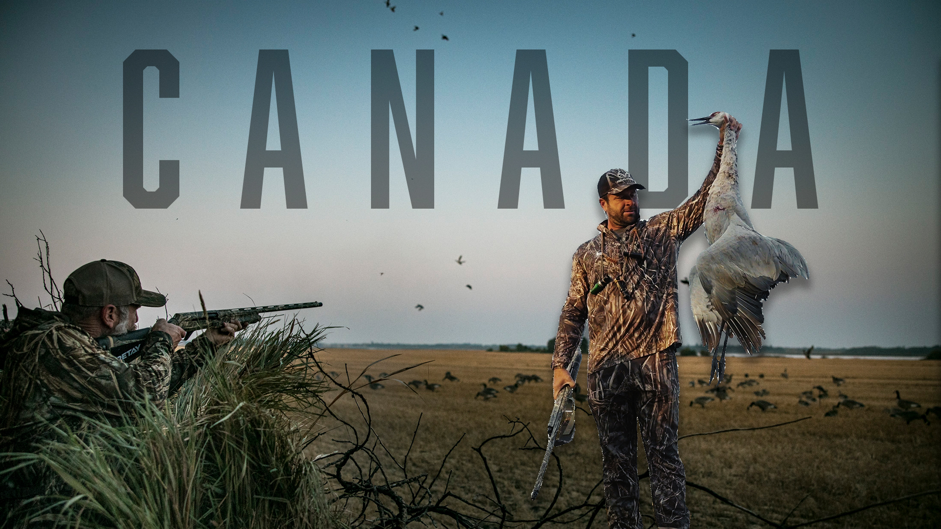 EPIC Canada Dry Field Hunt | Sandhill Crane | Black Cloud