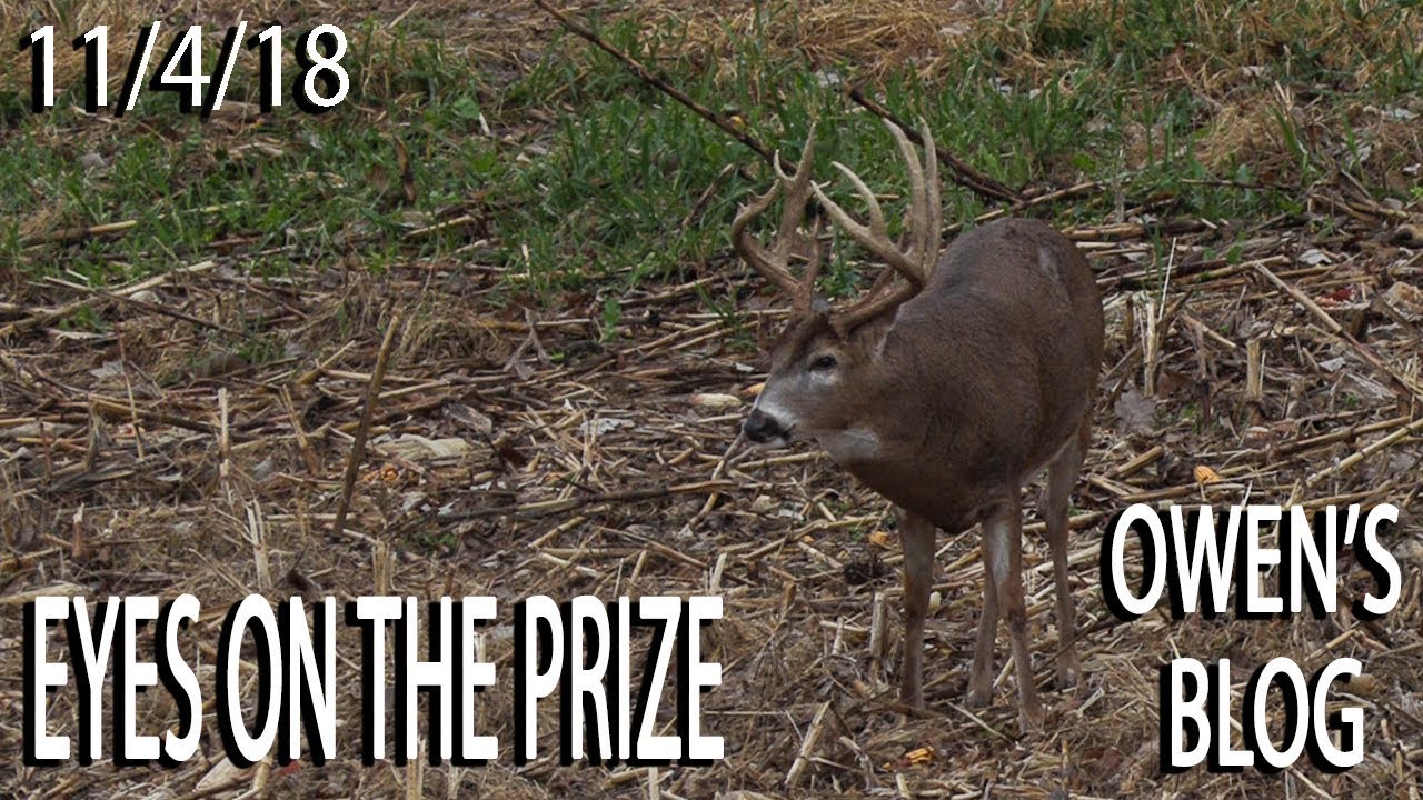 Owen's Blog: Eyes on the Prize - Spotting a Giant