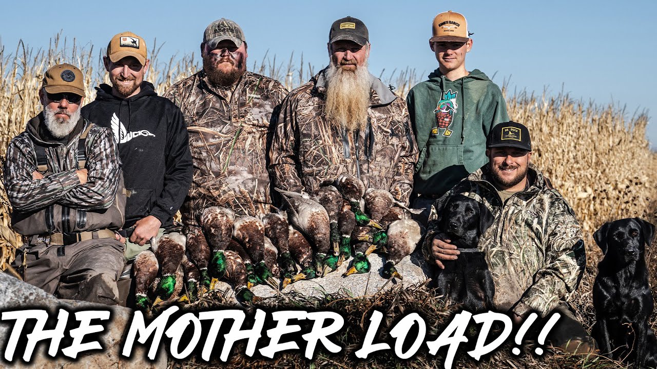 The Mother Load!! We Banded A Duck _ Dr Duck