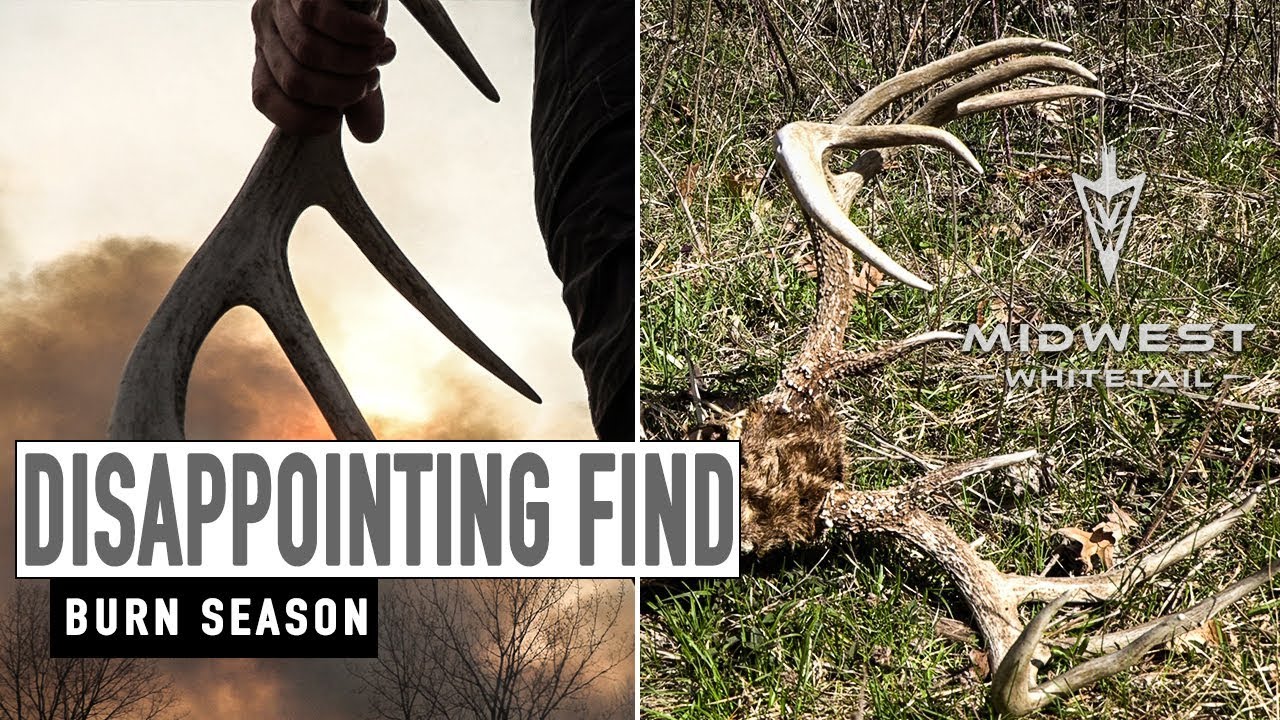 4-30-18: Disappointing Find, Burn Season | Midwest Whitetail