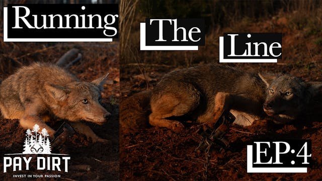 Running the Line, Part 4 | Two Coyote...