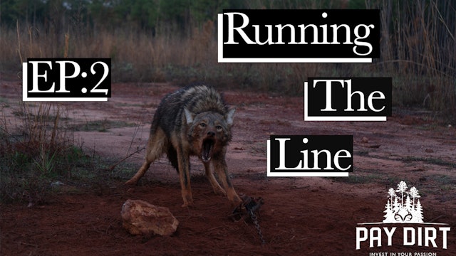 Running the Line, Part 2 | Songdog in the Trap | Pay Dirt