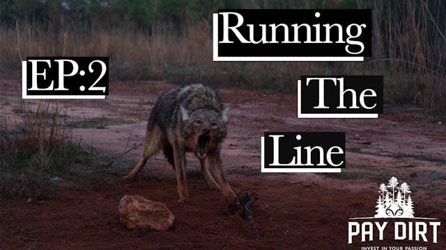 Running the Line, Part 2 | Songdog in...