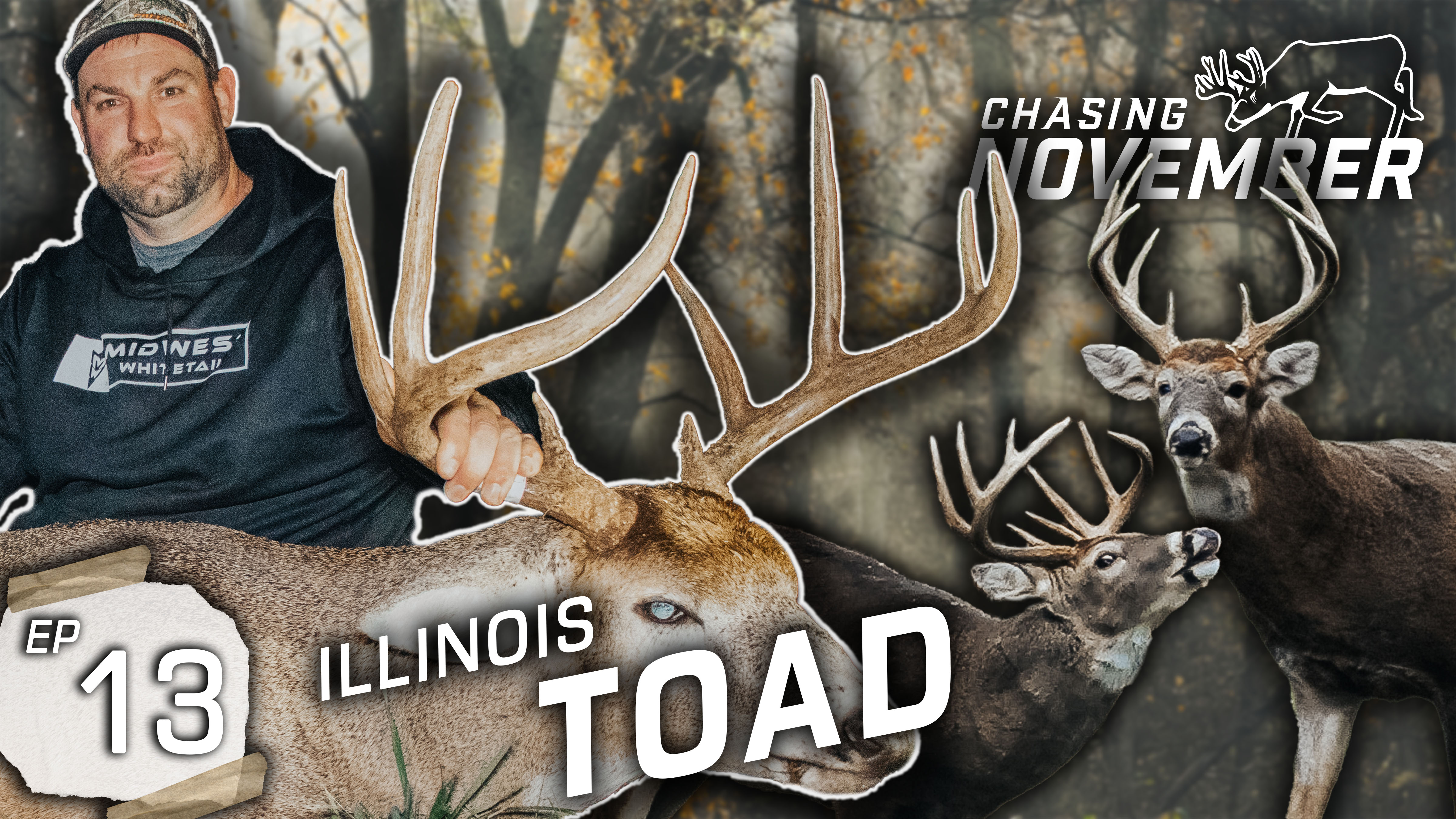 Redemption On An Illinois Stud, Our Best Early Rut Tactics 