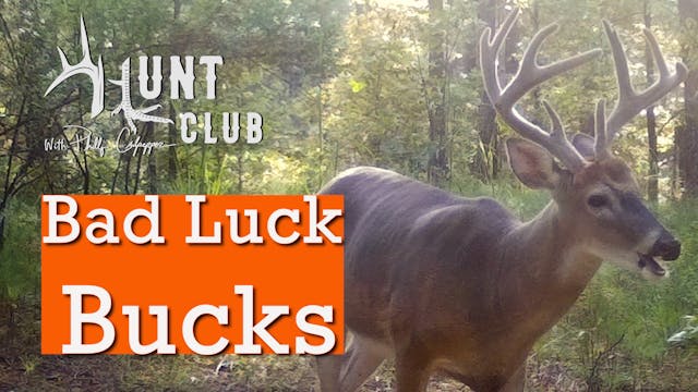 Shooter Buck at 20 Steps | More Tenne...