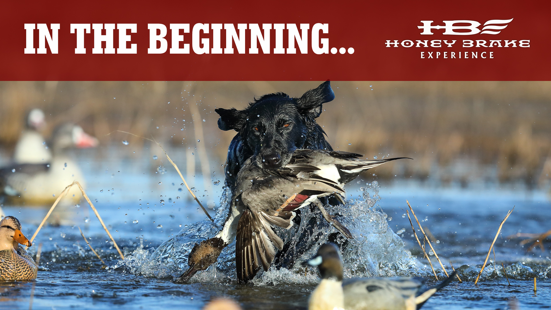 Pre-Season Waterfowl Prep | Opening Week of Duck Season | Honey Brake