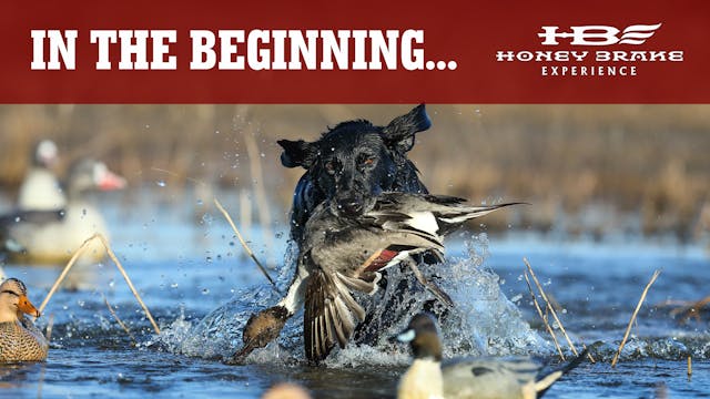 Pre-Season Waterfowl Prep | Opening W...