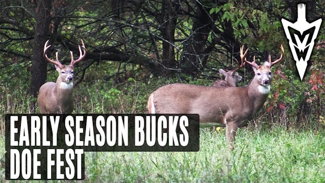 10-8-18: Patterning Early Season Bucks, Doe Fest | Midwest Whitetail