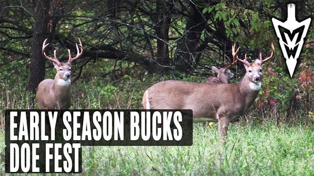 10-8-18: Patterning Early Season Buck...