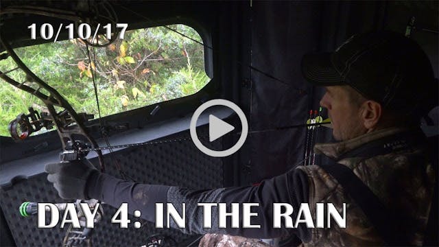 Winke Day 4: Hunting In The Rain
