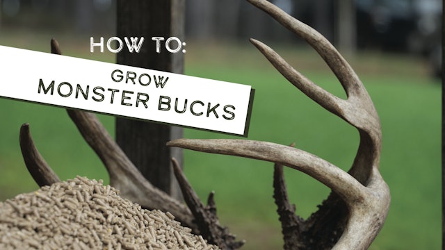 How to Manage a Deer Herd | Monster Meal | Pay Dirt
