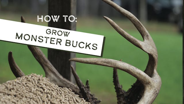 How to Manage a Deer Herd | Monster M...
