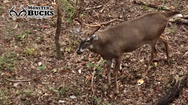 Michael Pitts Smokes an Old Georgia Buck | Monster Bucks XXXI (2023)