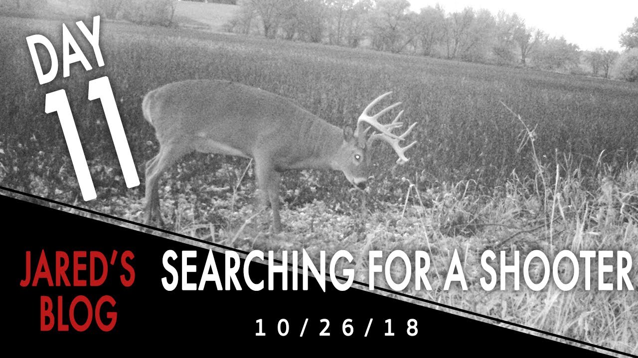 Jared's Blog: Still Searching For A Shooter Buck
