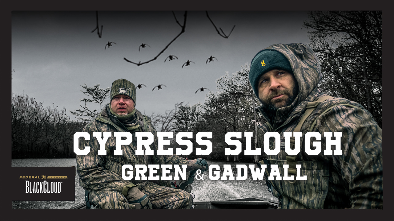 "Raining Gadwall" | 30 Ducks in Arkansas | Black Cloud