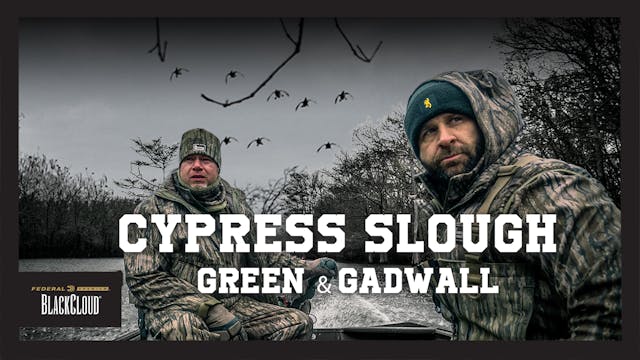 "Raining Gadwall" | 30 Ducks in Arkan...