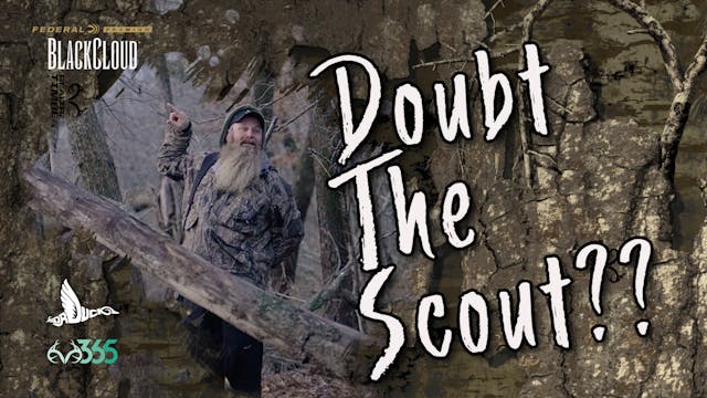 Don't Doubt the Scout | Mallards on P...