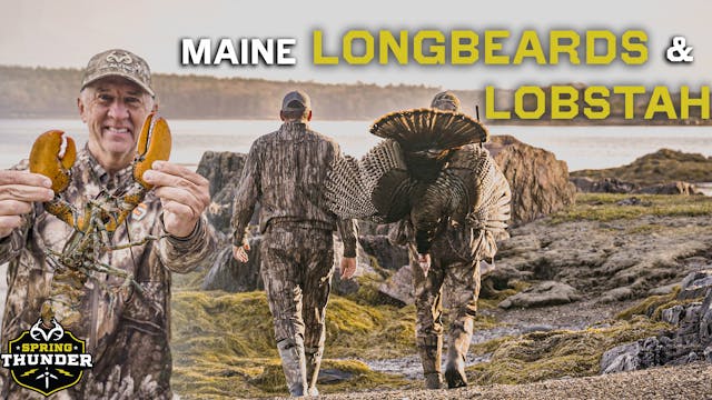 David Blanton Hunts Maine Turkeys | S...