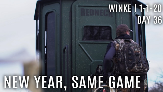Winke Day 36: New Year, Same Game