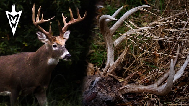 Hunting's Hardest Lessons | EHD Claims GIANT 180” Buck | Midwest Whitetail