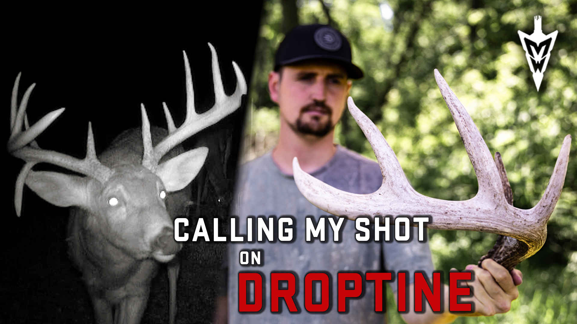 Effective Tips for Hunting Bucks that Only Live on Your Property Part-Time 