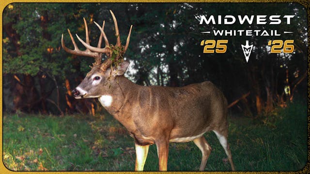 How to Hunt Early Season Cold Fronts