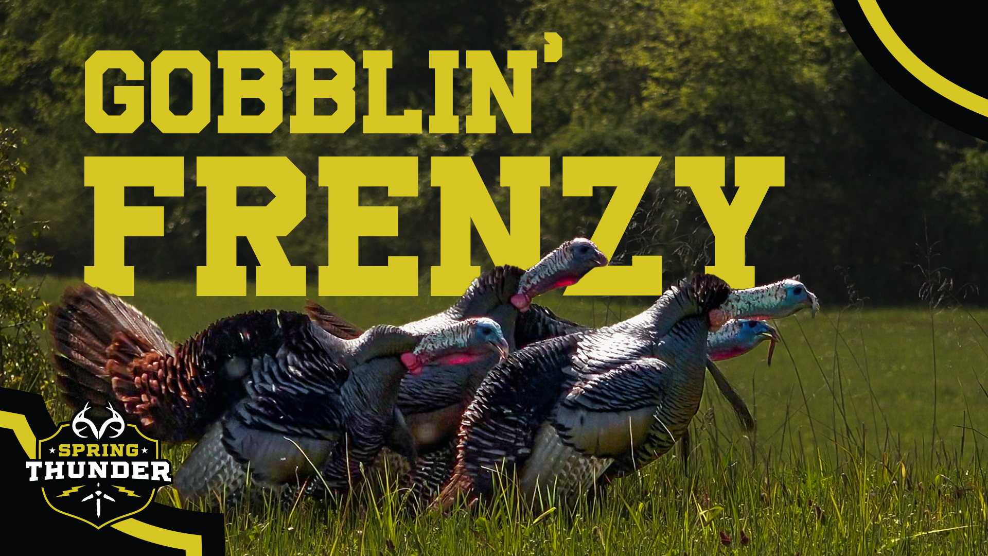 3 Turkeys in 2 Days | The Tennessee Opener | Spring Thunder