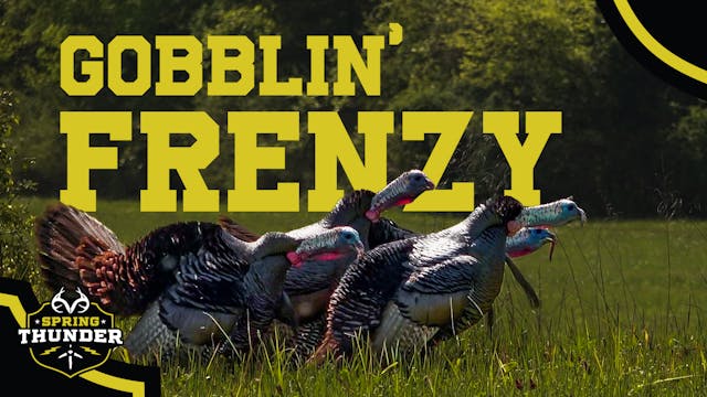 3 Turkeys in 2 Days | The Tennessee O...
