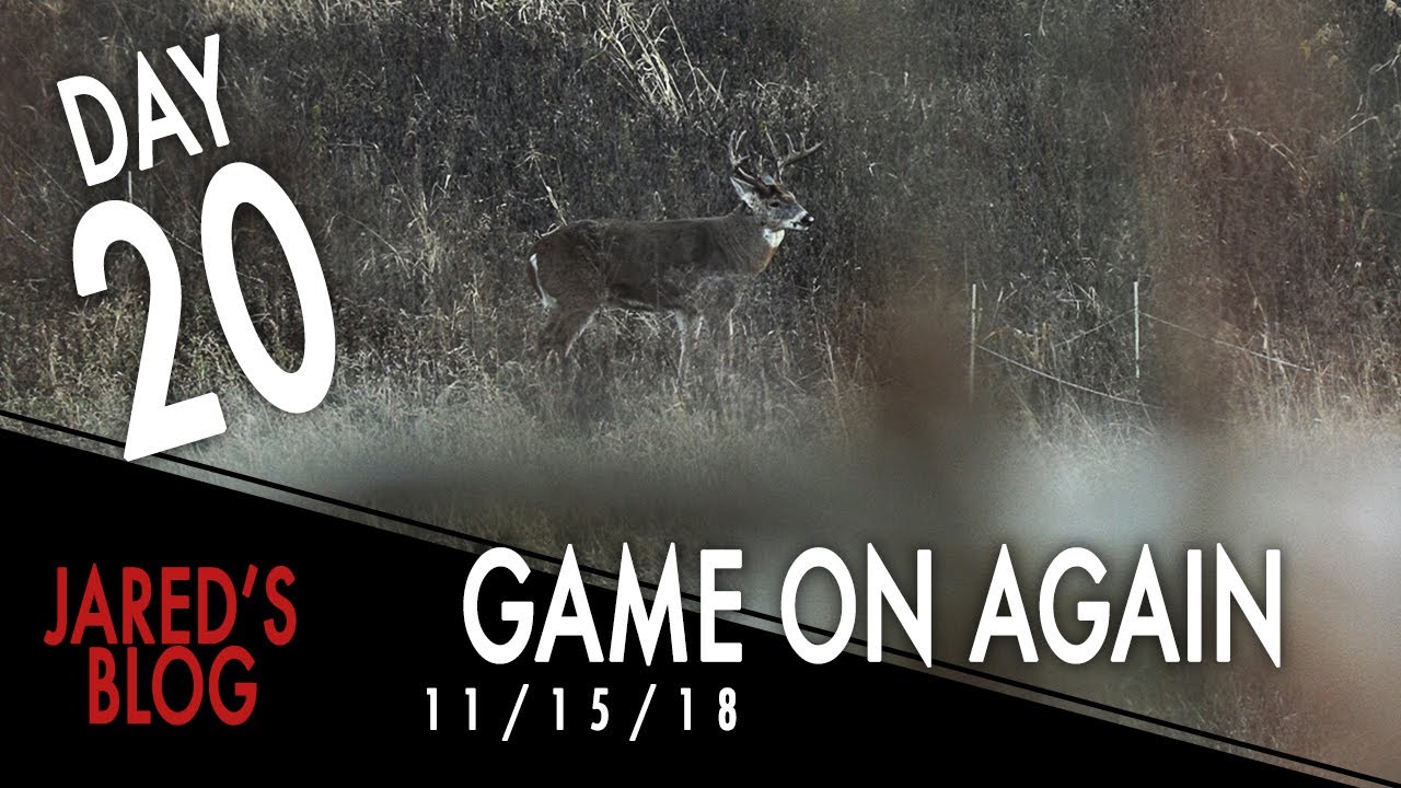 Jared's Blog: Back in the Stand