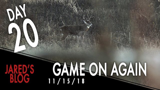 Jared's Blog: Back in the Stand