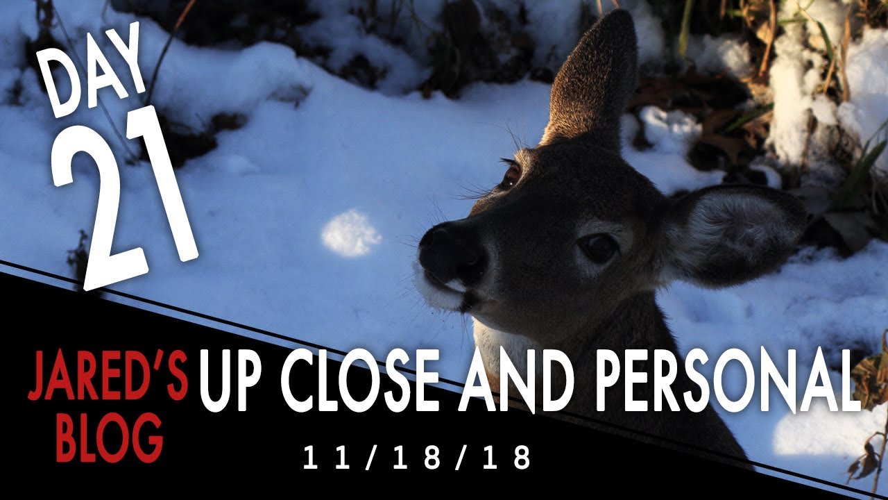 Jared's Blog: Up Close and Personal