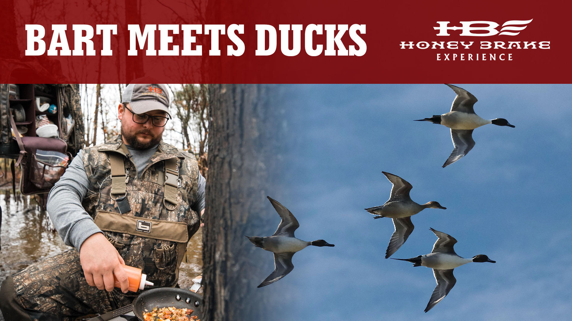 Bart Likes Likes the Ducks | Timber 2 Table on the Water | Honey Brake