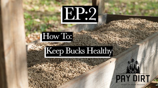 How to Tell If a Buck Is Healthy Base...
