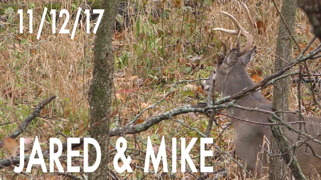 Jared's Blog: Rainy Day Opportunity