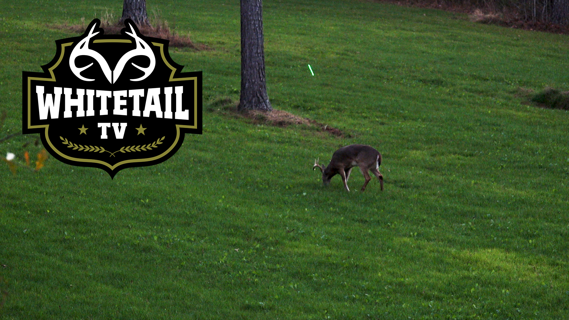 Birthday Surprise, Alabama Hunt Plans