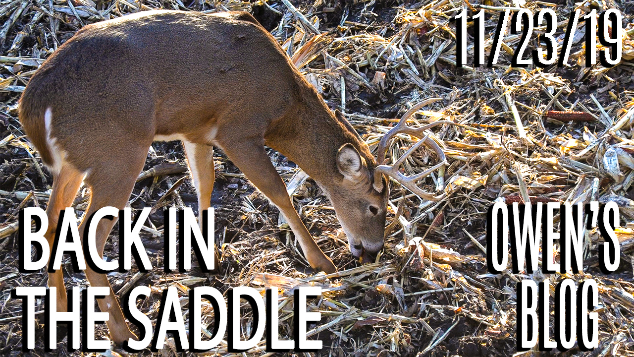 Owen's Blog | Back In The Saddle