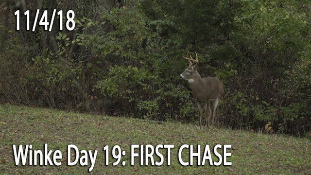 Winke Day 19: First Chase